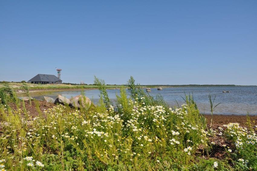Harbor House Lomala Konuk evi Dış mekan fotoğraf